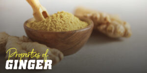 properties of ginger