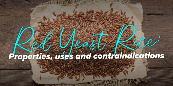 Red Yeast Rice – Properties and Benefits against Cholesterol Red Yeast Rice – Properties and Benefits against Cholesterol