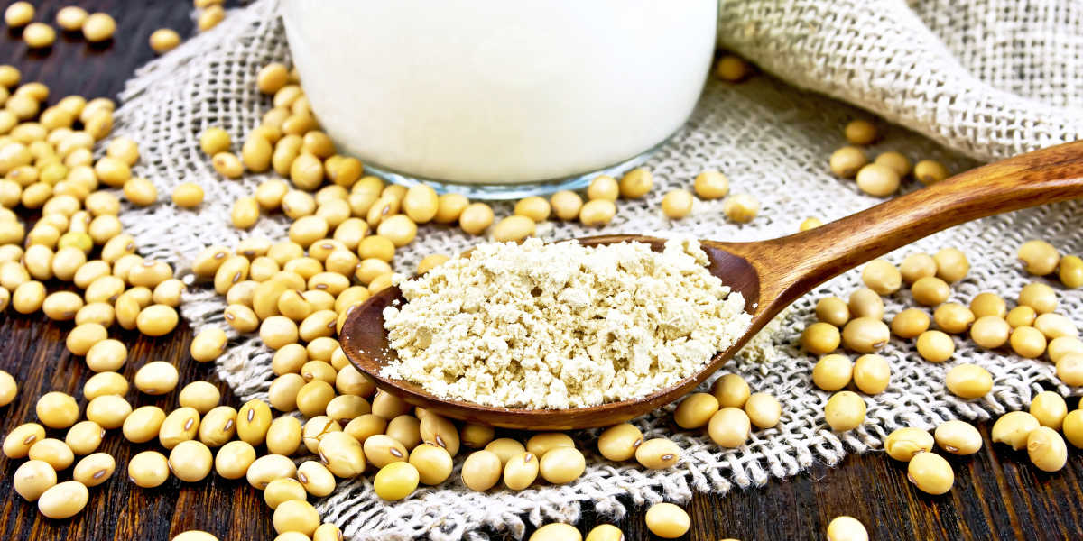 Soy Lecithin All you need to know at the HSN Blog!
