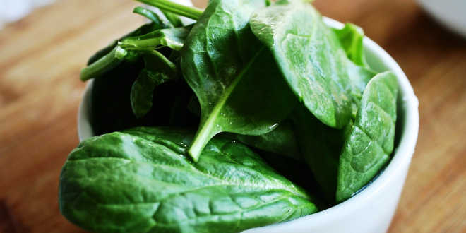 Spinach leaves in a bowl