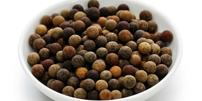 Tapioca - All you need to know about it at the HSN Blog