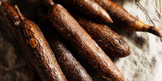 Yuca Root Yuca Root