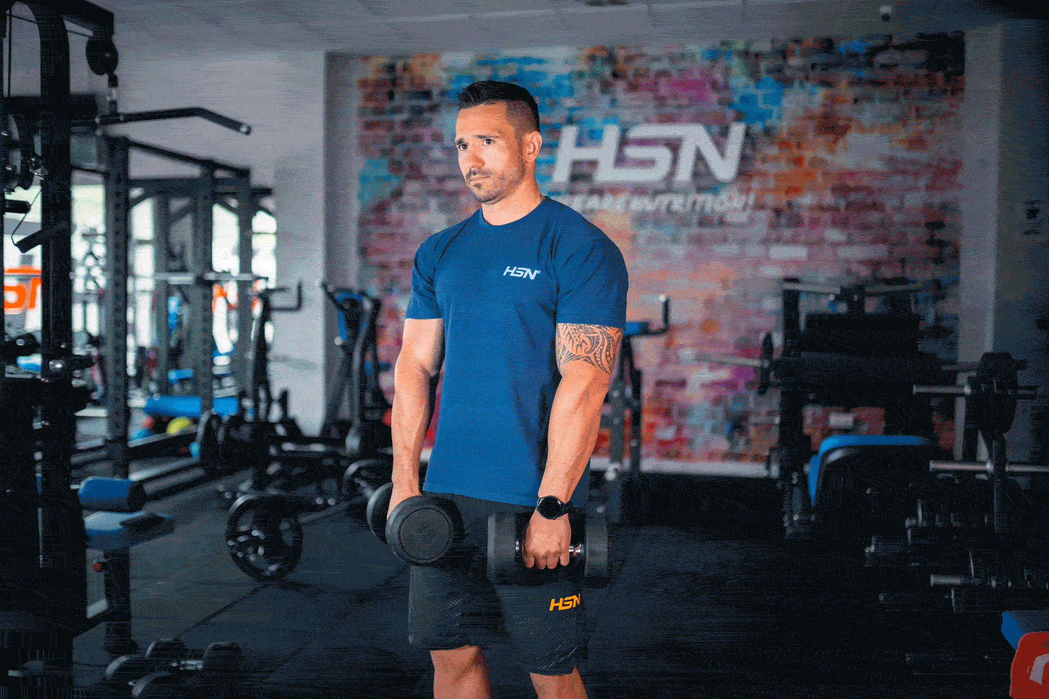 Dumbbell Frontal Raises