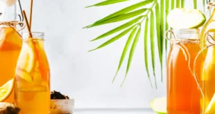 Kombucha tea: an exceptional probiotic