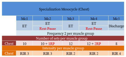 Specialization mesocycle chart 1