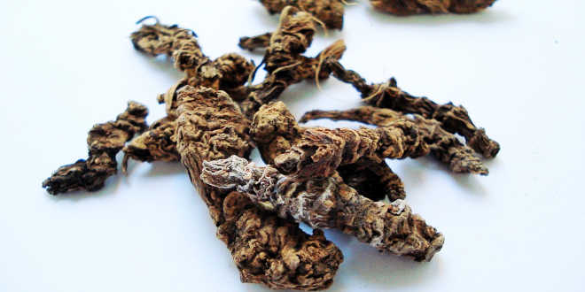 Valerian – An effective natural remedy against insomnia