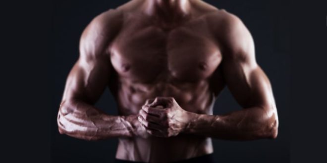 Arachidonic Acid – More Muscle Mass and Strength?