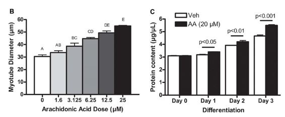 Arachidonic acid dose
