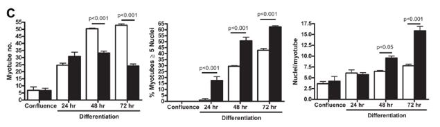 Myotube differentation
