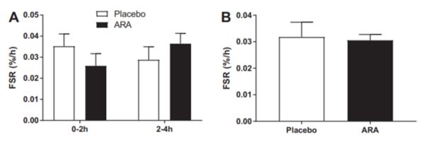 Myofibril response synthesis
