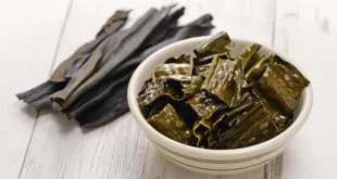 10 Benefits and Properties of Kelp Seaweed for Health