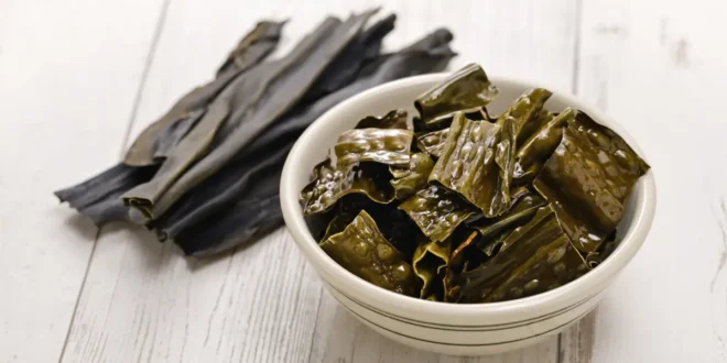 10 Benefits and Properties of Kelp Seaweed for Health 10 Benefits and Properties of Kelp Seaweed for Health