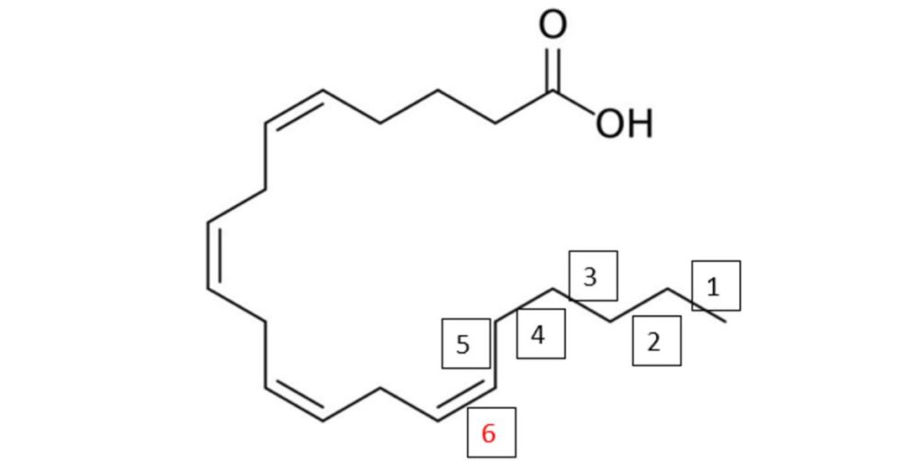 Chemical structure of arachidonic acid