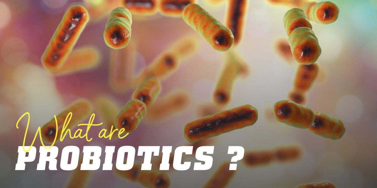 Probiotics – What are they, What are their benefits for Health