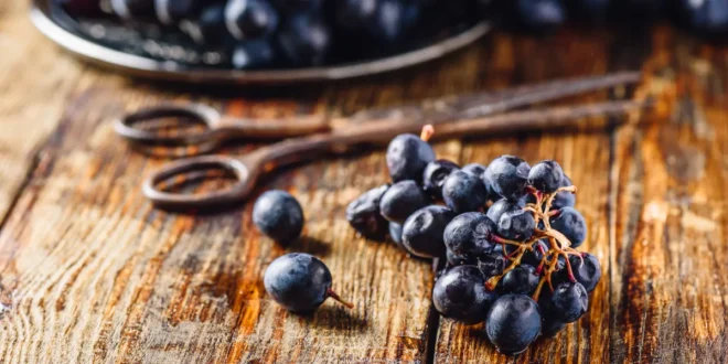 Resveratrol: Benefits for our health
