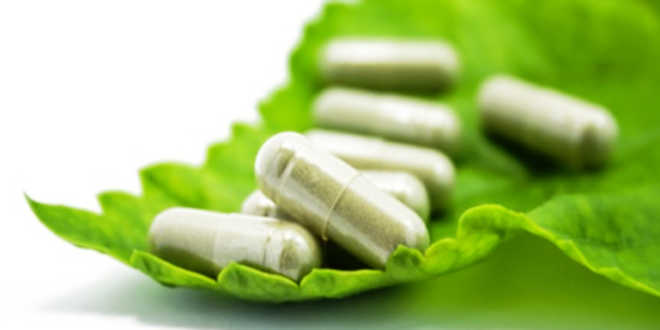 Capsules on a leaf
