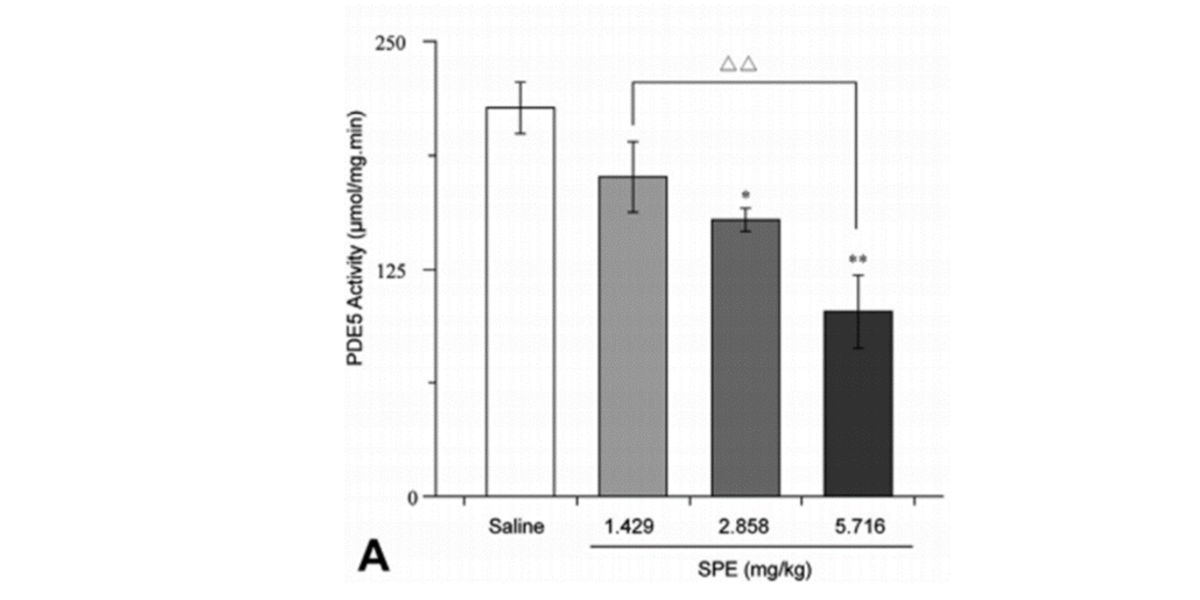 Activity of PDE5 