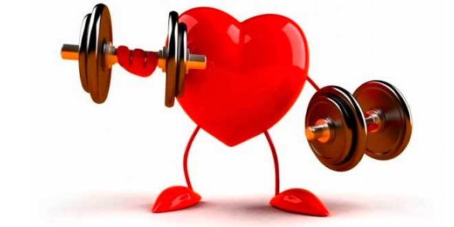 Heart lifting weights Heart lifting weights