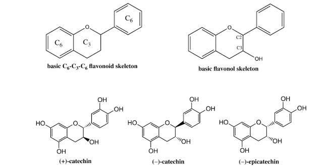 Flavonol family Flavonol family