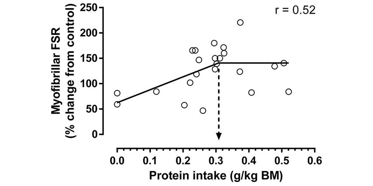 Protein intake Protein intake
