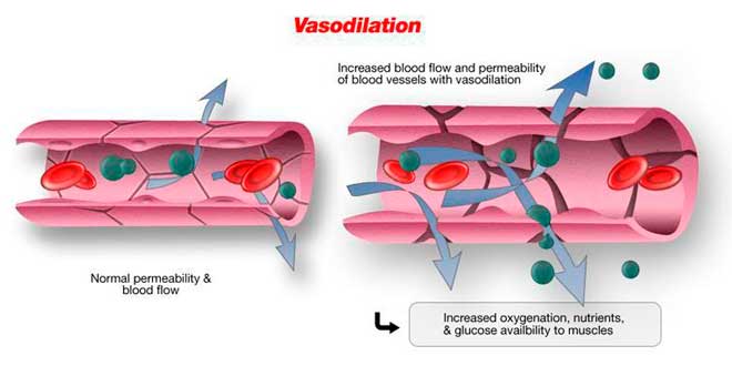 Vasodilation Vasodilation