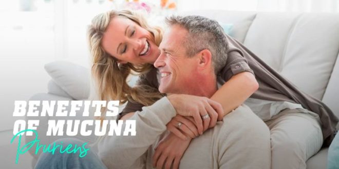 Mucuna Pruriens – Improved Testosterone and Fertility