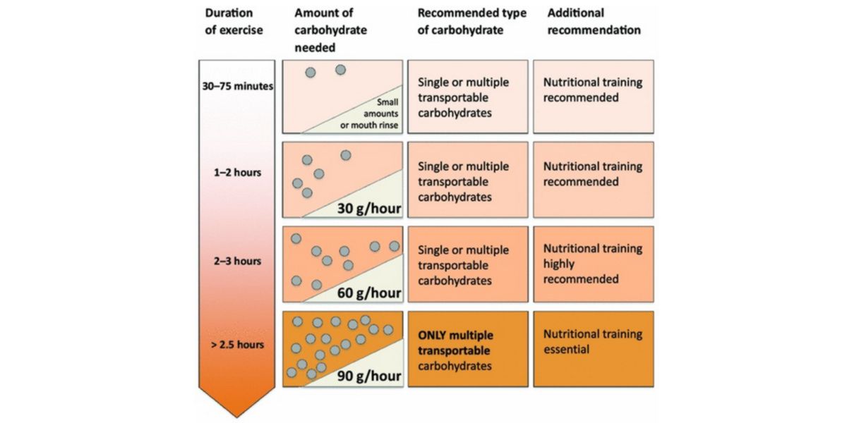 Recommended carbohydrate intake