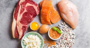9 sources of protein: their pros and cons