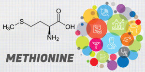 Methionine