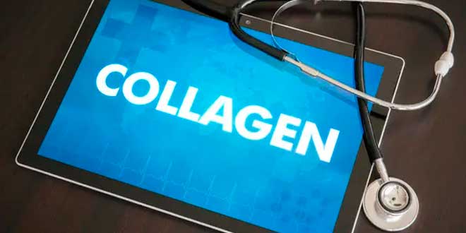 Collagen