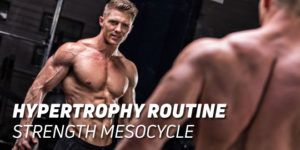 Hypertrophy Routine Strength