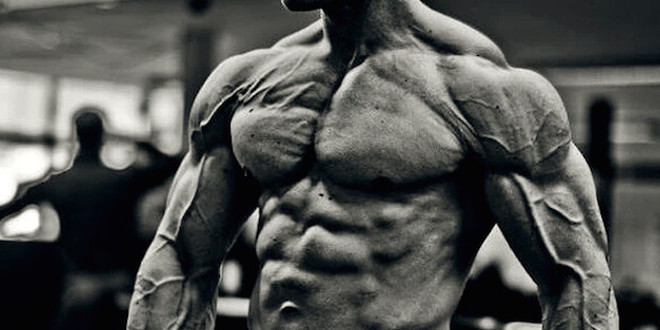 Muscle definition