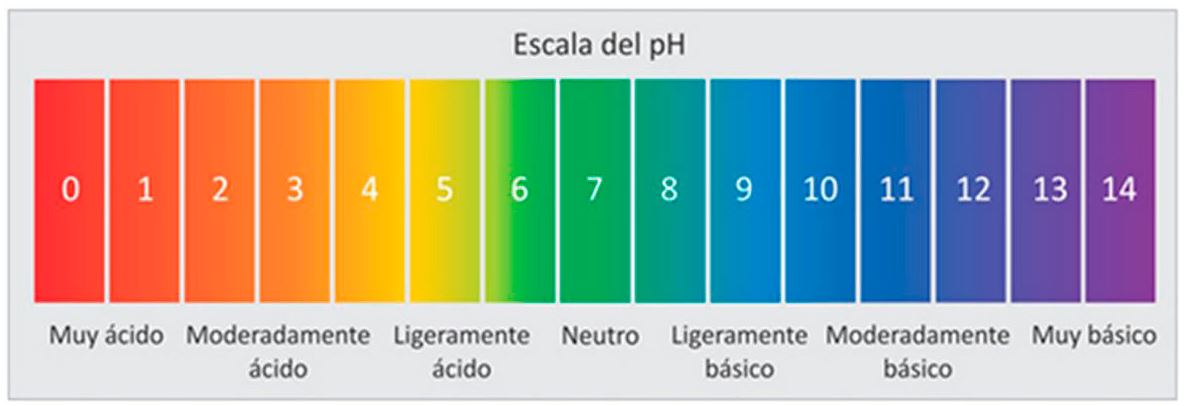 pH Scale