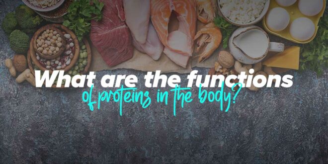 What are the protein functions?