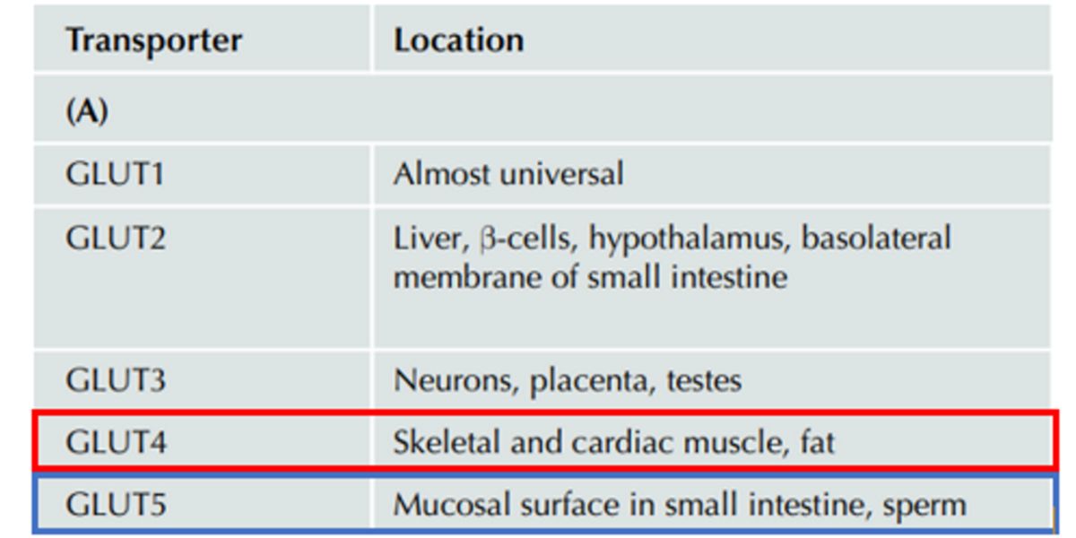 Fructose transporters