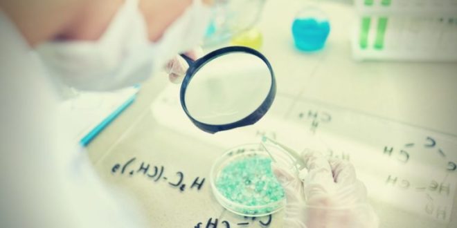 Discover the different Types of Collagen, Which is Better?