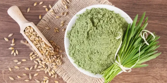 Barley grass: Benefits and Properties of this Superfood