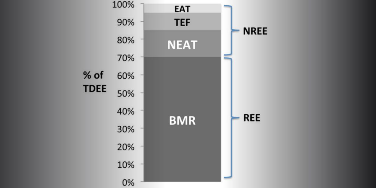 Determinants of total daily expenditure Determinants of total daily expenditure