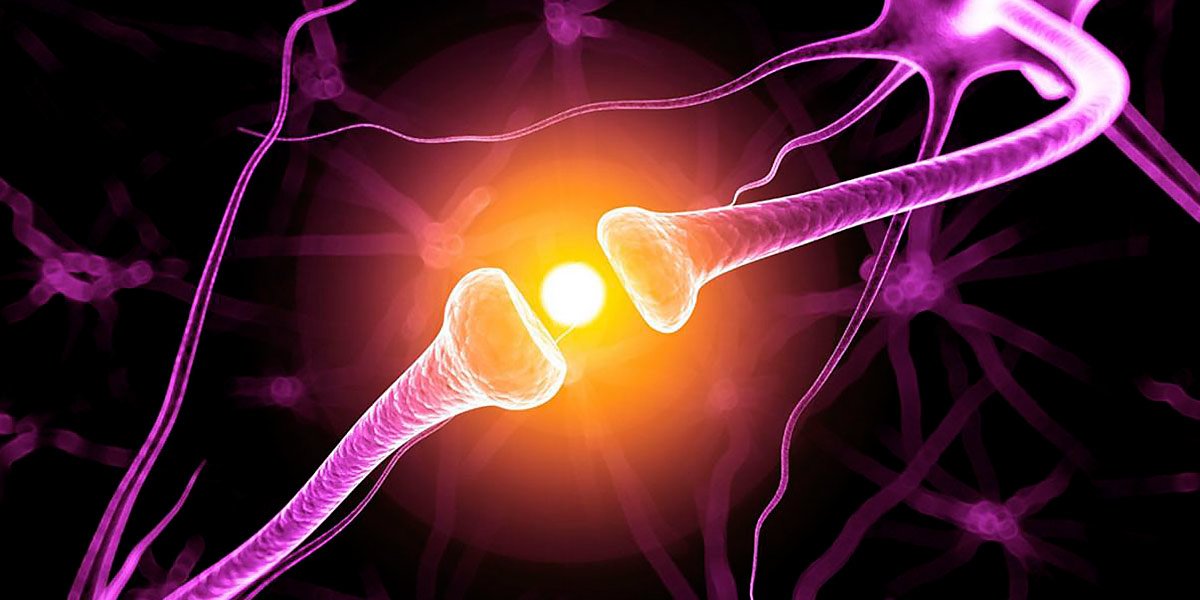 Neural communication Neural communication