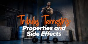 Tribulus Terrestris Properties and Side Effects