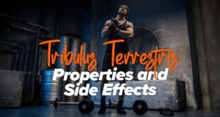 Tribulus Terrestris Properties and Side Effects