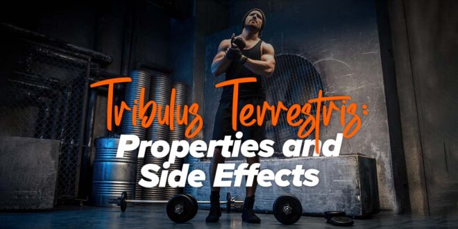 Tribulus Terrestris: Properties and Side Effects