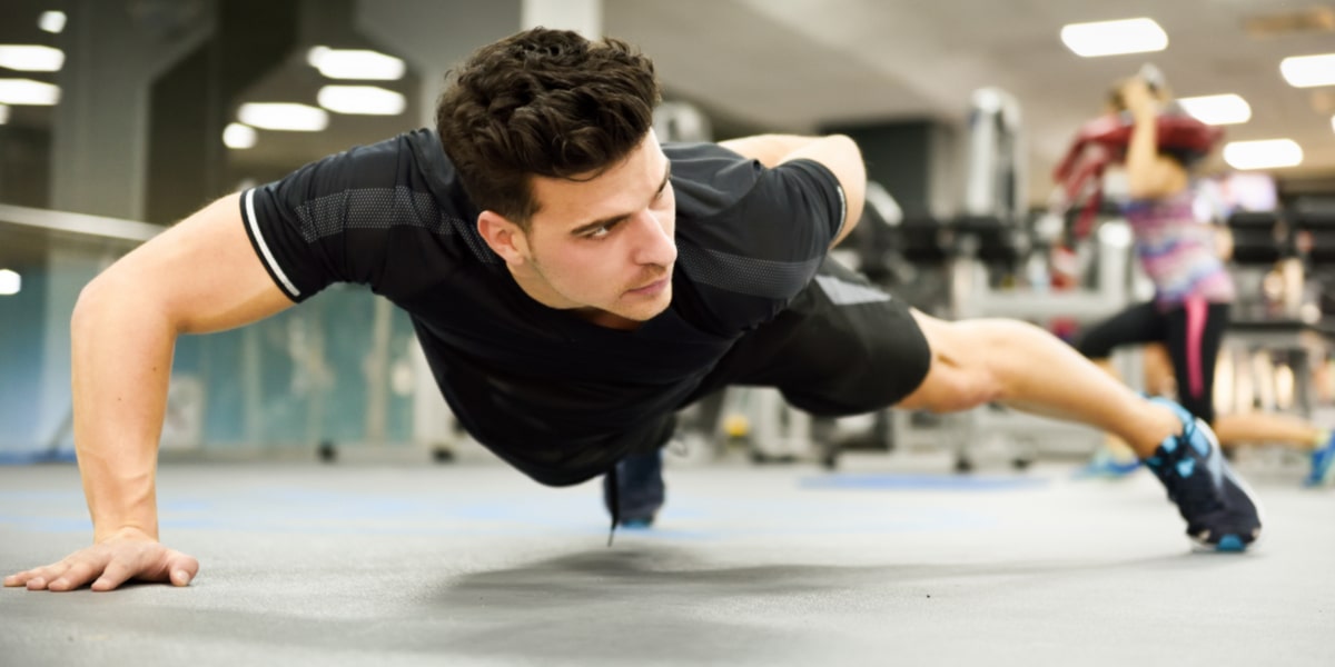 What is Tribulus Terrestris