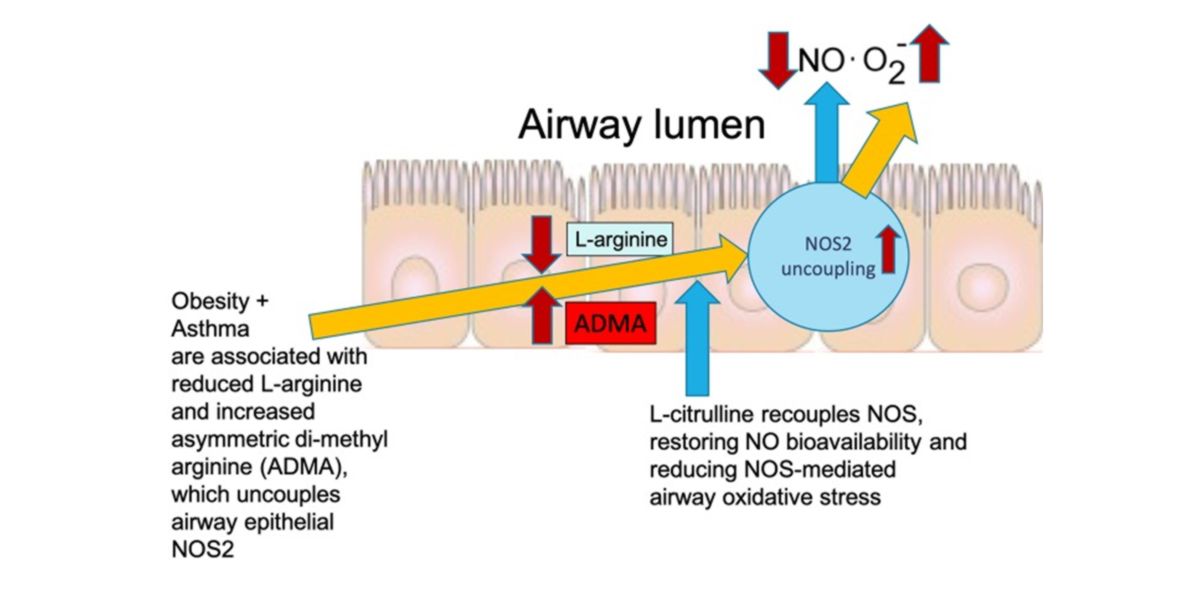 Autocrine oxidative stress