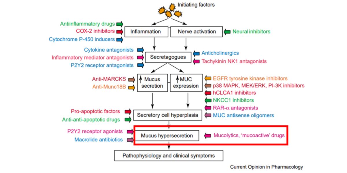 Pathophysiology and clinical symptoms