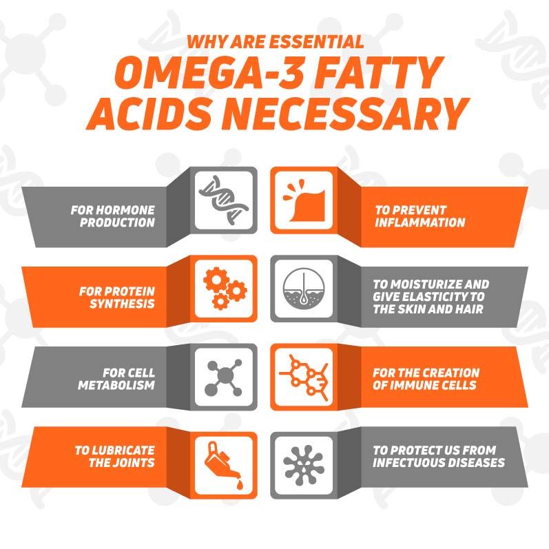 Why are Omega-3 necessary? Why are Omega-3 necessary?