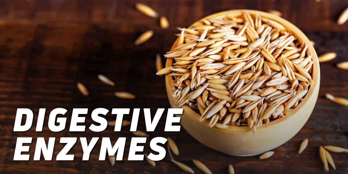 Digestive Enzymes