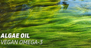 Algae Oil Vegan Omega-3