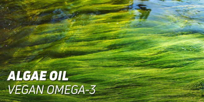 Omega-3 fatty acids for vegans: foods and supplements