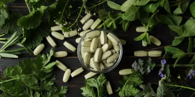 Supplements for Vegans: complete guide for healthy nutrition